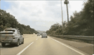 고속도로를 달리던 차량 짐칸에 타고 있던 개가 떨어지는 모습. 유튜브 캡처