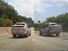 고속도로를 달리던 차량 짐칸에 타고 있던 개가 떨어진 모습. 유튜브 캡처