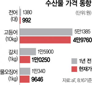 제철 아닌데…한여름 전어 풍년에 골치