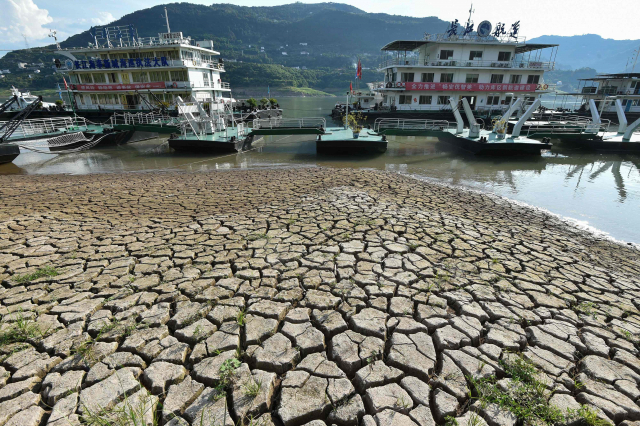 연일 계속되는 폭염과 가뭄의 영향으로 16일 중국 충칭 남서부의 창장(양쯔강)이 강바닥을 드러내고 있다. AFP연합