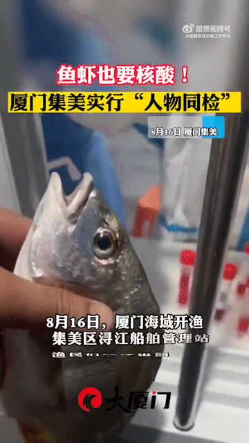 '제로 코로나' 정책을 고수하는 중국이 살아 있는 물고기에도 코로나19 검사를 실시하고 있다. 웨이보 캡처