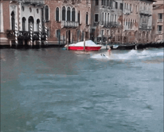 '바보 2명 찾는다'…베네치아 운하서 서핑한 관광객들 [영상]