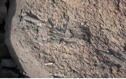 지난 2008년 화성에서 최초로 보고된 ‘화성 뿔공룡:코리아케라톱스 화성엔시스’의 발견 당시의 모습. /사진제공=문화재청