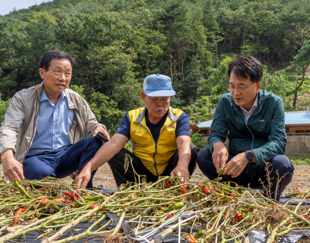 손병환(오른쪽 첫 번째) 농협금융지주 회장이 폭우피해를 입은 농업인을 위로하고 피해현장 점검에 나서고 있다. 사진 제공=농협금융