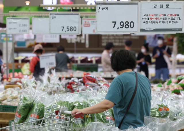 농협 하나로마트 양재점을 찾은 시민들이 채소 코너를 둘러보고 있다. 연합뉴스