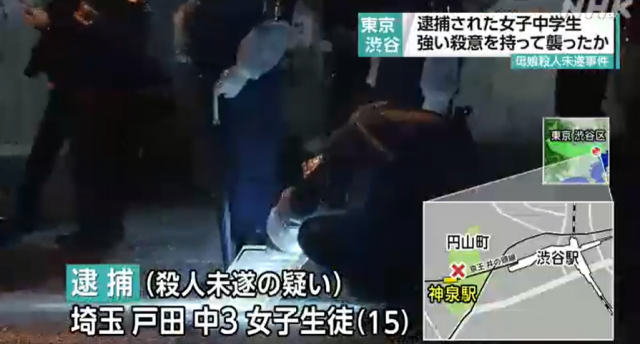 도쿄 거리 한복판에서 15세 소녀가 모녀를 흉기로 찔러 살인 미수 혐의로 체포됐다. NHK홈페이지 캡처