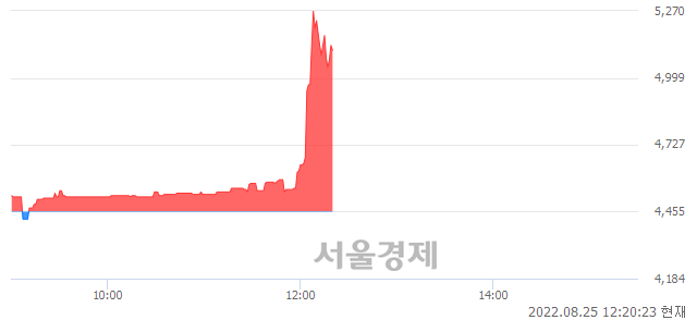 <코>와이팜, 전일 대비 14.93% 상승.. 일일회전율은 1.70% 기록