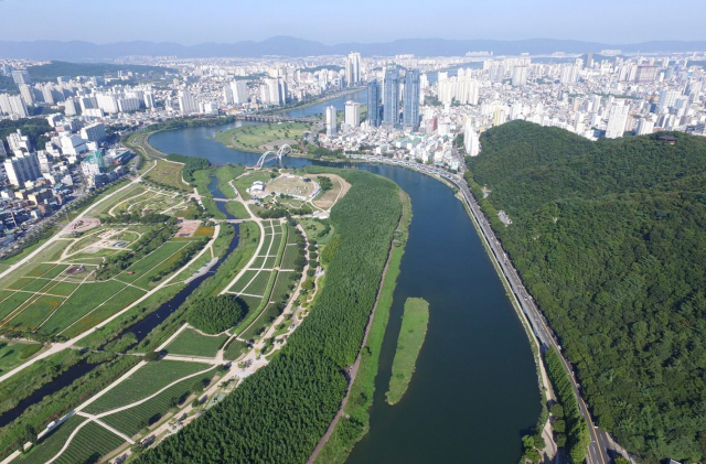 하늘에서 본 울산 시가지. 사진제공=울산시