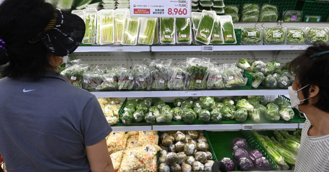 서울시내 한 대형마트에서 소비자들이 가격을 꼼꼼하게 비교하며 채소를 구매하고 있다. 오승현 기자