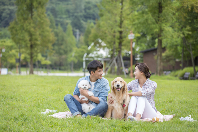 반려견도 기쁨의 눈물 흘린다…오랜만에 본 보호자에 그렁그렁