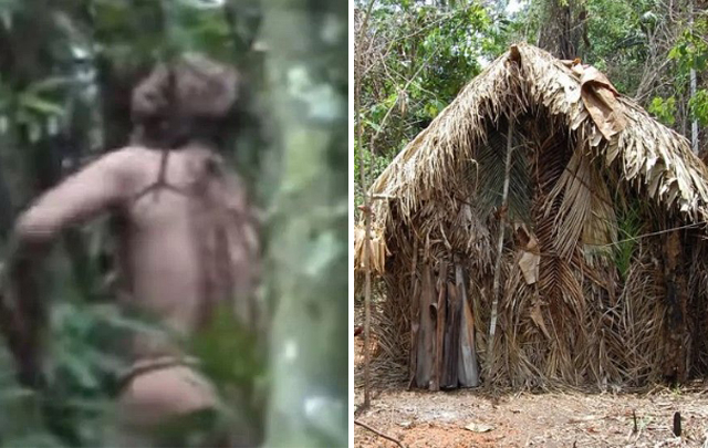 29일(현지시간) 외신에 따르면 브라질 아마존 정글에서 생활하던 한 부족의 마지막 원주민이 사망했다고 보도했다. 오른쪽 사진은 원주민이 생활하던 오두막집. BBC 방송화면 캡처