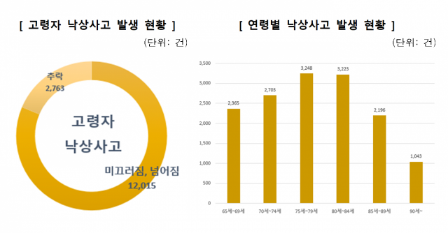 고령자 낙상사고 발생 현황. 소비자원 제공