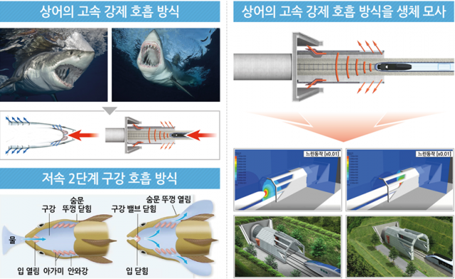 고효율·고속 호흡 상어 생체 모사 고속철도 후드 기술