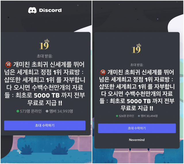 단독] 디스코드 타고 번지는 '제3의 n번방'…하루에 3만명 몰렸다 | 서울경제