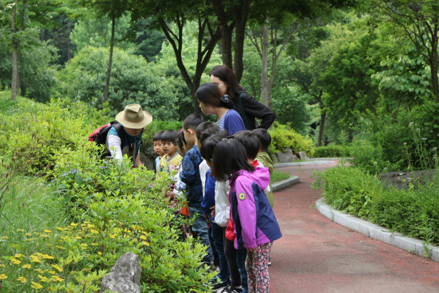 경기 유명산 국립자연휴양림을 찾은 어린이들을 대상으로 숲해설 프로그램이 운영되고 있다. 사진제공=국립자연휴양림관리소