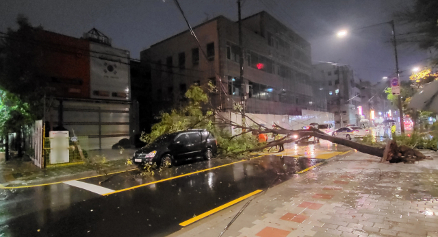 태풍 힌남노가 상륙한 지난 5일 저녁 서울 강서구의 도로에서 가로수가 한 차량 위로 넘어져 있다. 사진 제공=서울강서소방서