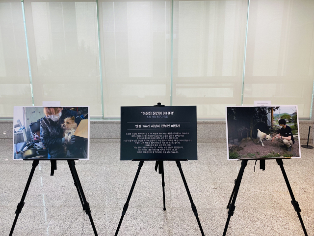 지난달 31일 국회 로비에 전시된 동물들의 사진.