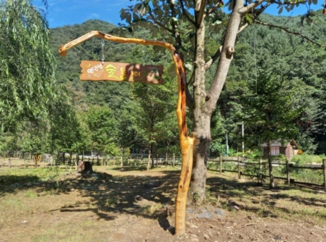 경기 가평군 연인산도립공원에 조성된 ‘연인산 숲놀이터’ 전경. 사진 제공=경기도