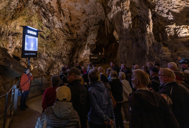 슬로베니아 포스토이나 동굴 관람객들이 삼성전자 TV '더 테라스'로 희귀 동물 '올름'을 관찰하고 있다. 사진제공=삼성전자