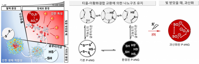산화-환원 반응에 따른 나노젤(P-IrNG)의 구조 변화 모식도. 모식도=유니스트