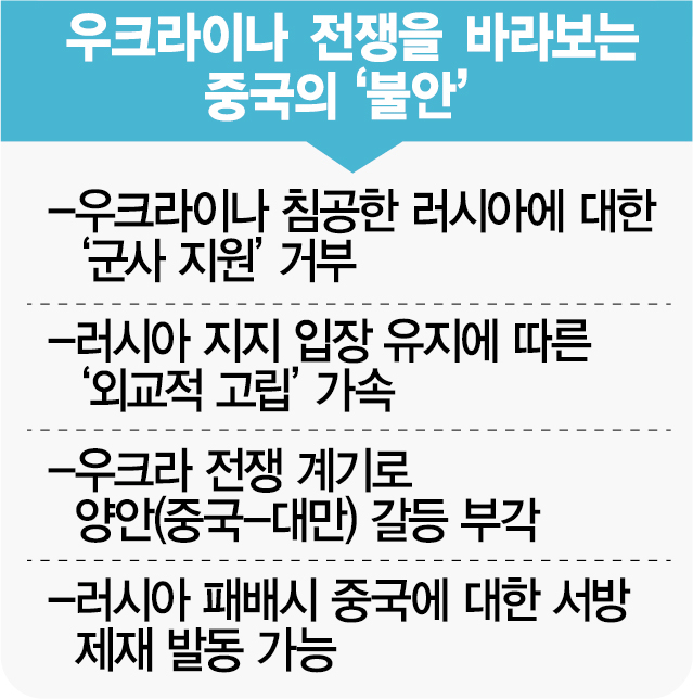 시진핑, 푸틴에 '우크라 전쟁 우려'… 中·러 '무제한 협력' 균열 생기나