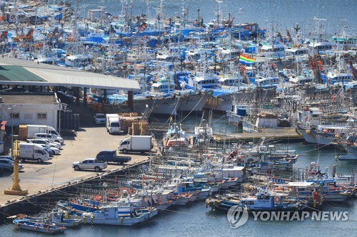 제14호 태풍 난마돌이 북상하는 가운데 18일 오전 서귀포항에 어선들이 대피해 있다. /연합뉴스