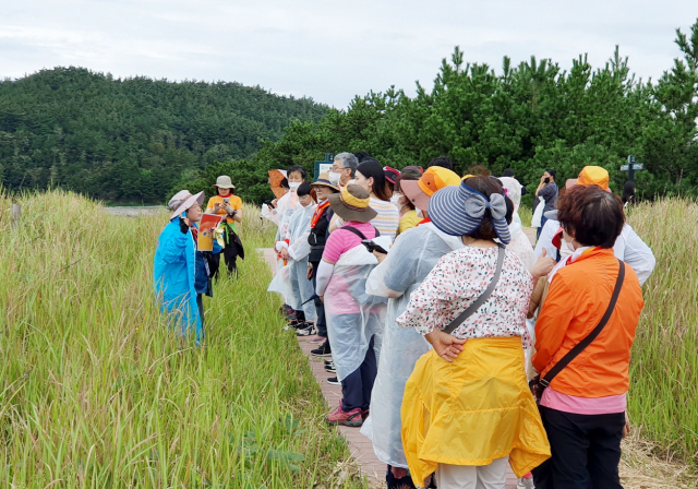 걷기 참가가들이 태안군 원북면 신두리 일원 힐링 걷기 프로그램에 참가하고 있다. 사진제공=태안군