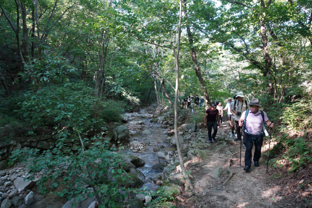 서울 강북구 우이동에 첫 '도심 등산관광센터'가 개관한 9월 1일 산악인 엄홍길 대장이 각국에서 온 외국인들과 북한산 계곡을 따라 등반하고 있다.