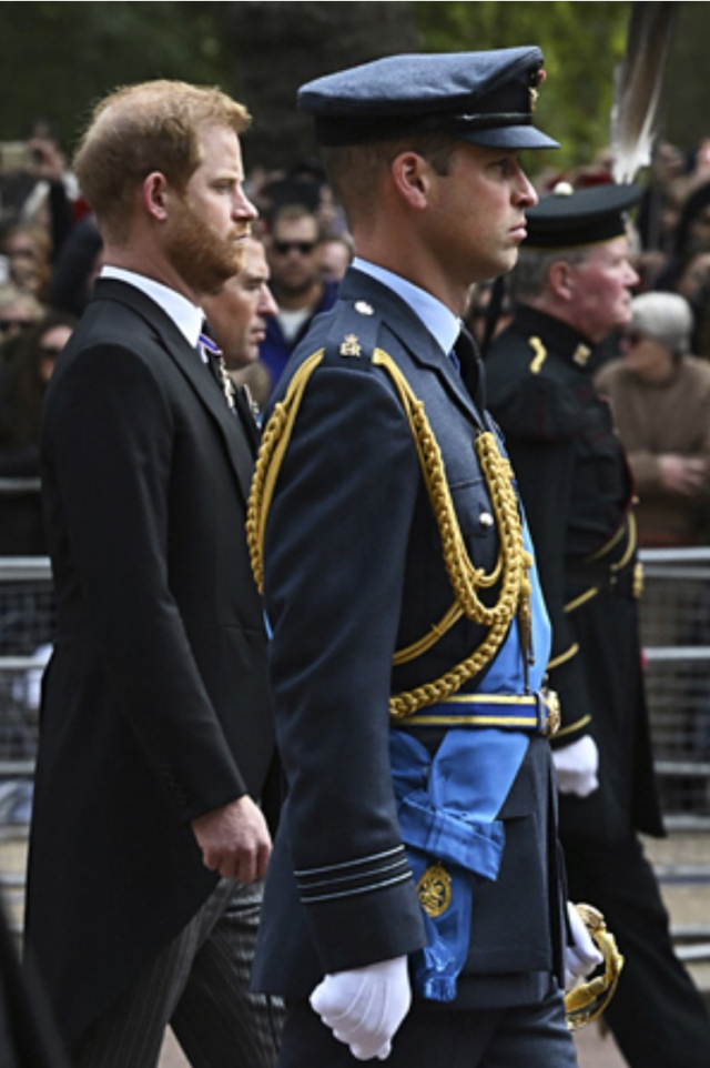영국 왕위계승 서열 1위인 윌리엄(앞줄 오른쪽) 왕세자가 19일 런던에서 열린 엘리자베스 2세 여왕 장례식에서 해리(왼쪽) 왕자와 거리를 둔 채 운구 행렬을 따라 걷고 있다. AP연합뉴스