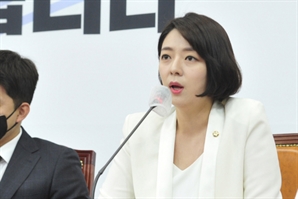 '문화재청→국가유산청'…배현진, 국가유산체제 패키지 법안 발의