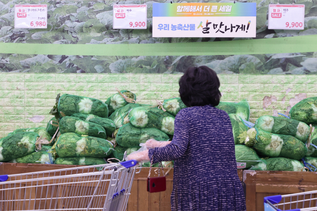 25일 서울 시내 한 대형마트에서 고객이 배추 판매대 앞에 서있다./연합뉴스
