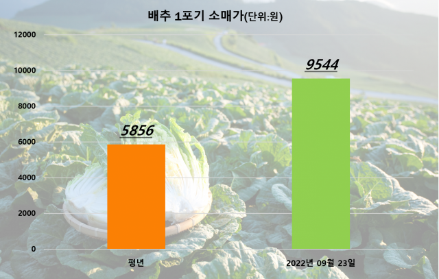 자료:한국농수산식품유통공사(aT) 농산물유통정보