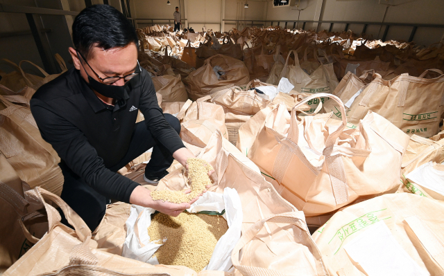 전남 영암군 학산면 서영암농협 친환경쌀유통센터(미곡처리장)에서 한 직원이 올해 수매된 쌀을 보고 있다. 영암=오승현 기자