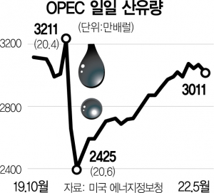 사진 설명