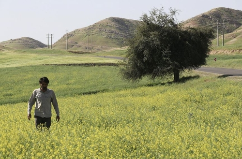 올해 영화제 개막작인 이란 영화 ‘바람의 향기’의 한 장면. 사진 제공=부산국제영화제