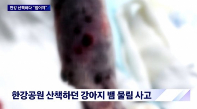 JTBC 보도화면 캡처.