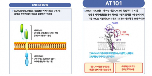 CAR-T치료제 AT101의 특성. 사진 제공=앱클론