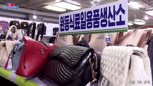 북한 '제13차 평양제1백화점'전시장에서 프랑스 명품 브랜드 샤넬의 가방을 카피한 제품이 포착됐다. 연합뉴스