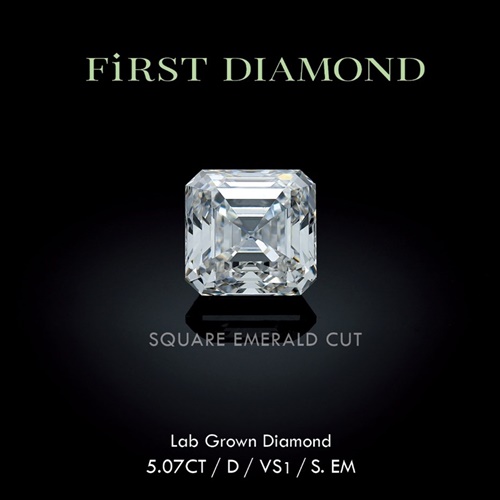 사진 제공 : First Diamond