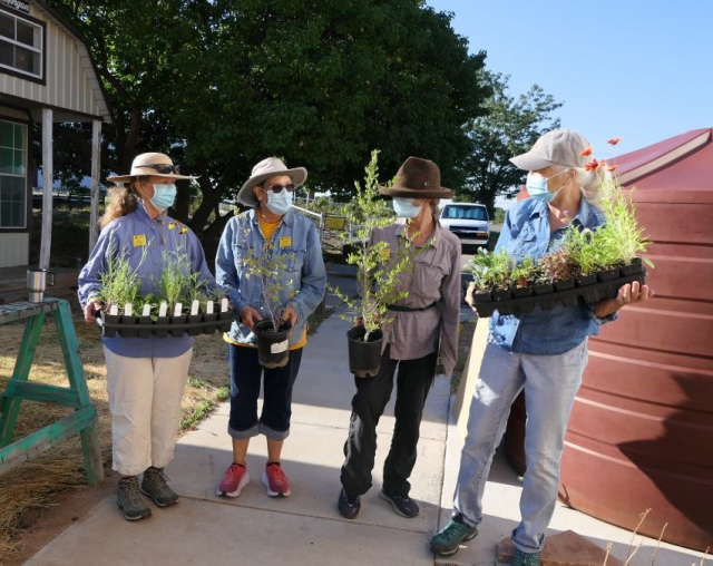 다양한 식물로 구성된 서식지 키트를 들고 있는 미국 뉴멕시코주 산타페의 주민들. (사진=저시즈)