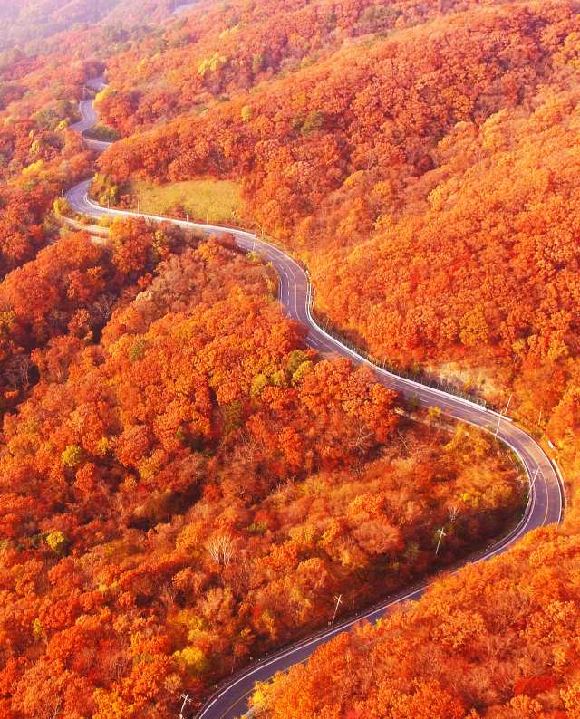 23일 만산홍엽을 이룬 강원 평창군 계방산 운두령의 모습이 깊어가는 가을을 실감케 하고 있다.