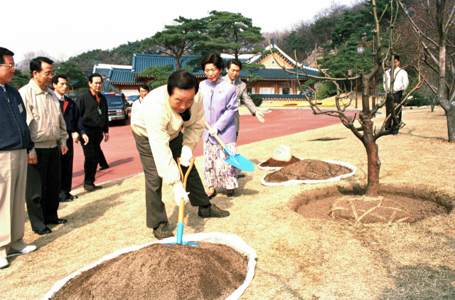 1995년 김영삼 당시 대통령이 청와대에 배나무를 기념식수하고 있다. /사진제공=국가기록원