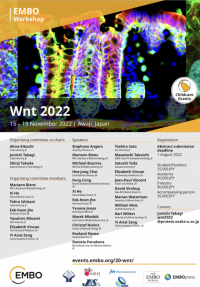 11월 15일부터 일본 효고현 아와지 유메부타에서 열리는 ‘Wnt 2022’ 학회의 포스터. 사진 제공=JW중외제약