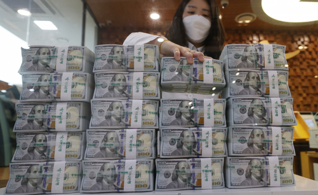 서울 중구 하나은행 위변조대응센터에서 직원이 달러를 정리하고 있다. 오승현기자