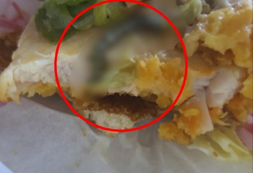 경기도 고양시에 사는 제보자는 지난달 28일 맥도날드에서 상하이버거를 주문해 먹다가 벌레를 발견했다고 전했다. 연합뉴스