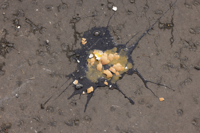 남성이 던진 계란이 길바닥에 떨어져 깨졌다. AP연합뉴스