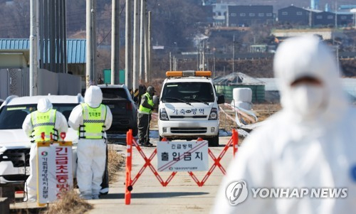 천안·청주 오리농장서 고병원성 AI 발생