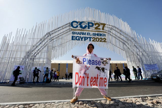 COP27 행사장 입구서 1인 시위하는 환경운동가.로이터연합뉴스