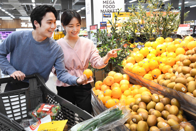 홈플러스 모델들이 22일 서울 강서구 등촌동 ‘홈플러스 메가푸드마켓’ 강서점에서 상품을 살펴보고 있다./사진 제공=홈플러스