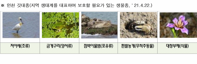 인천시의 대표 보호 생물종. 사진제공=포스코인터